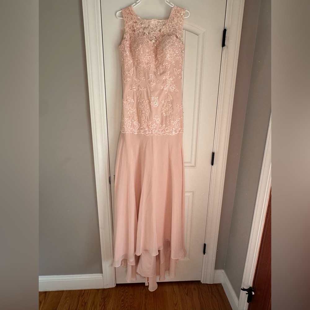Elegant Pink Blush Lace Evening Gown